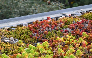 the cost of Pwllgloyw green roof installation
