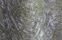 Pwllgloyw fibreglass roof work